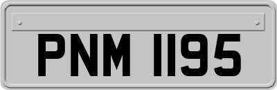 PNM1195