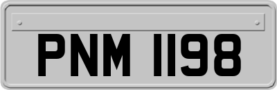 PNM1198