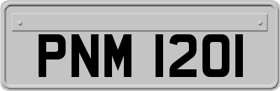 PNM1201