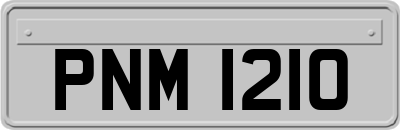 PNM1210