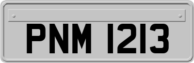 PNM1213