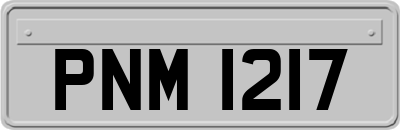 PNM1217