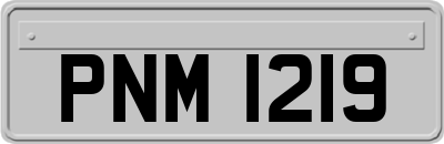 PNM1219