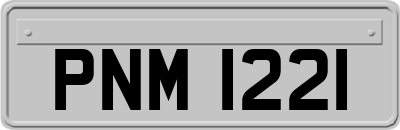PNM1221