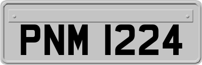 PNM1224