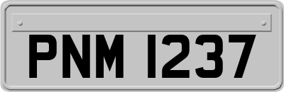 PNM1237