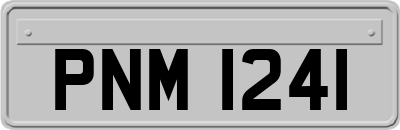 PNM1241