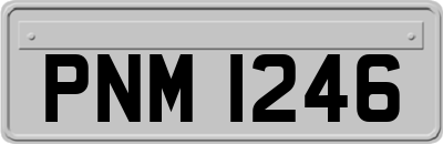 PNM1246