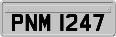 PNM1247