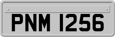 PNM1256