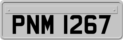 PNM1267
