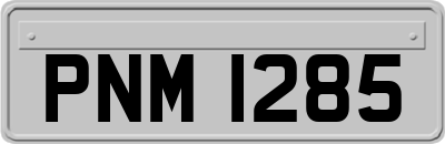 PNM1285