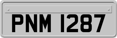 PNM1287