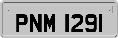PNM1291