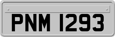 PNM1293