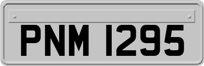 PNM1295