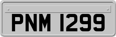 PNM1299