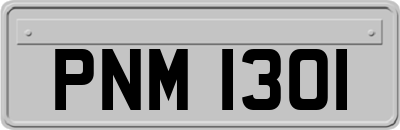 PNM1301