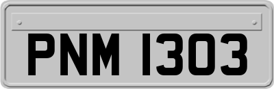PNM1303