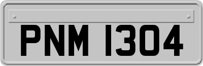PNM1304