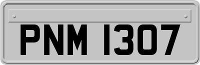 PNM1307