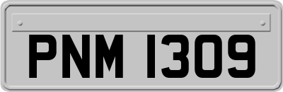 PNM1309