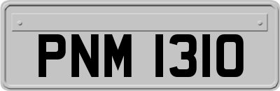 PNM1310