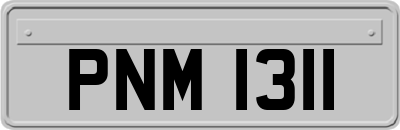 PNM1311