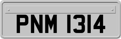 PNM1314