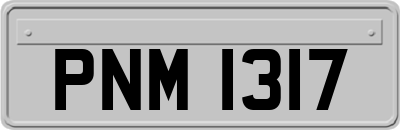PNM1317