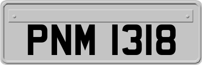 PNM1318