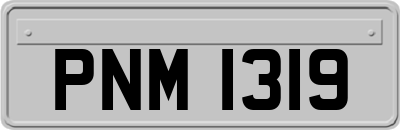 PNM1319