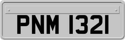 PNM1321
