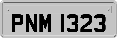 PNM1323