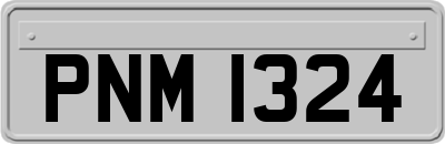 PNM1324