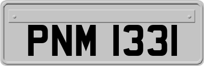 PNM1331