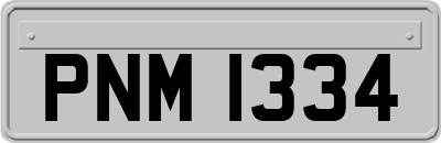 PNM1334