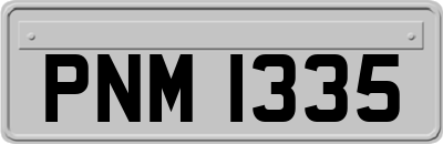 PNM1335