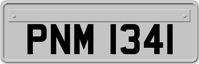PNM1341