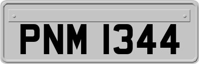 PNM1344