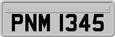 PNM1345