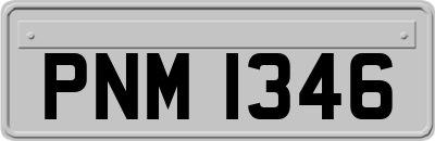PNM1346
