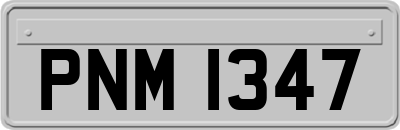 PNM1347