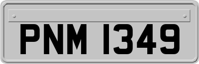 PNM1349