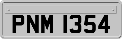 PNM1354