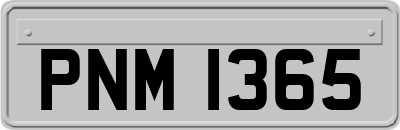 PNM1365