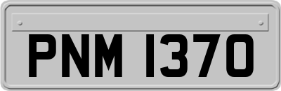 PNM1370