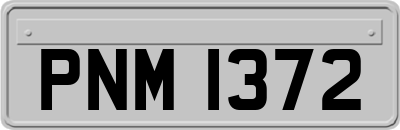PNM1372