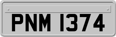 PNM1374
