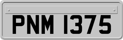 PNM1375